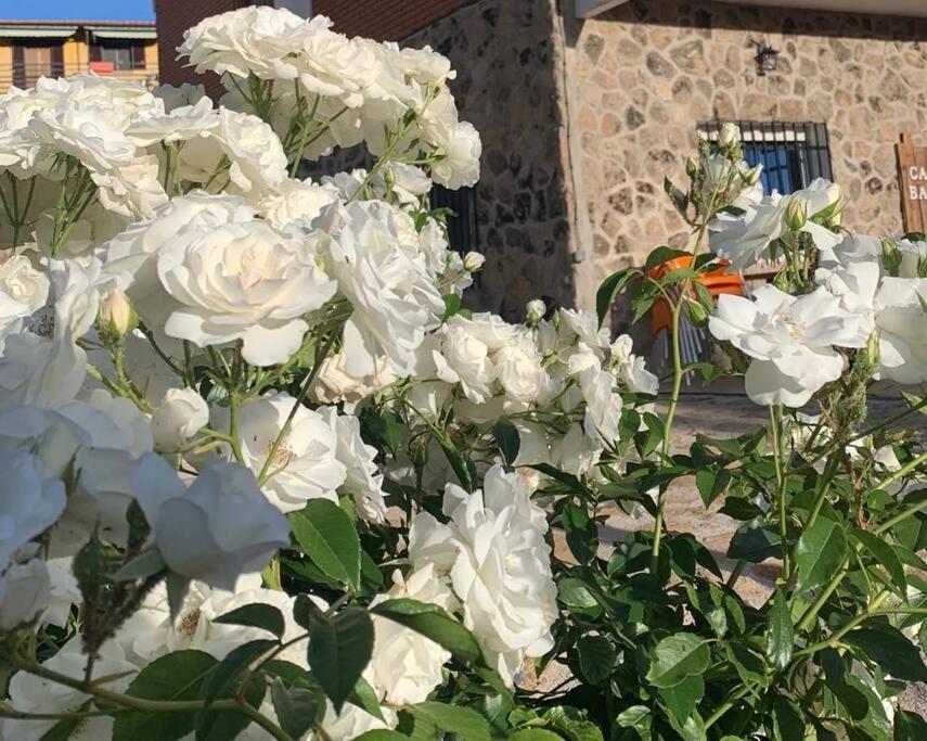 Ávila Casa Balta 빌라 외부 사진